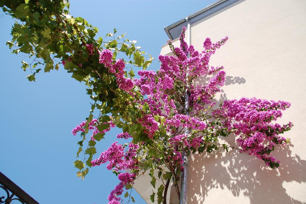 Apartment Gold Trogir Ruang foto